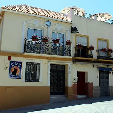Bruselas * Málaga